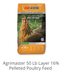 Product Recommendation 2