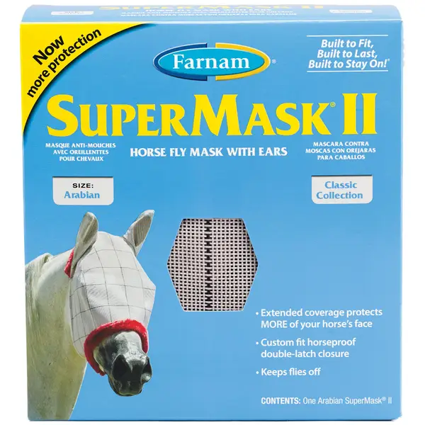 Horse with fly sheet on