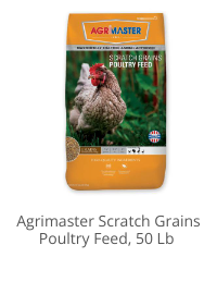 Product Recommendation 4