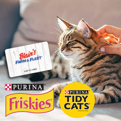 Cat being pet with Blain's gift card and Purina logos