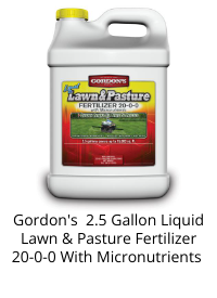 Product Recommendation 6
