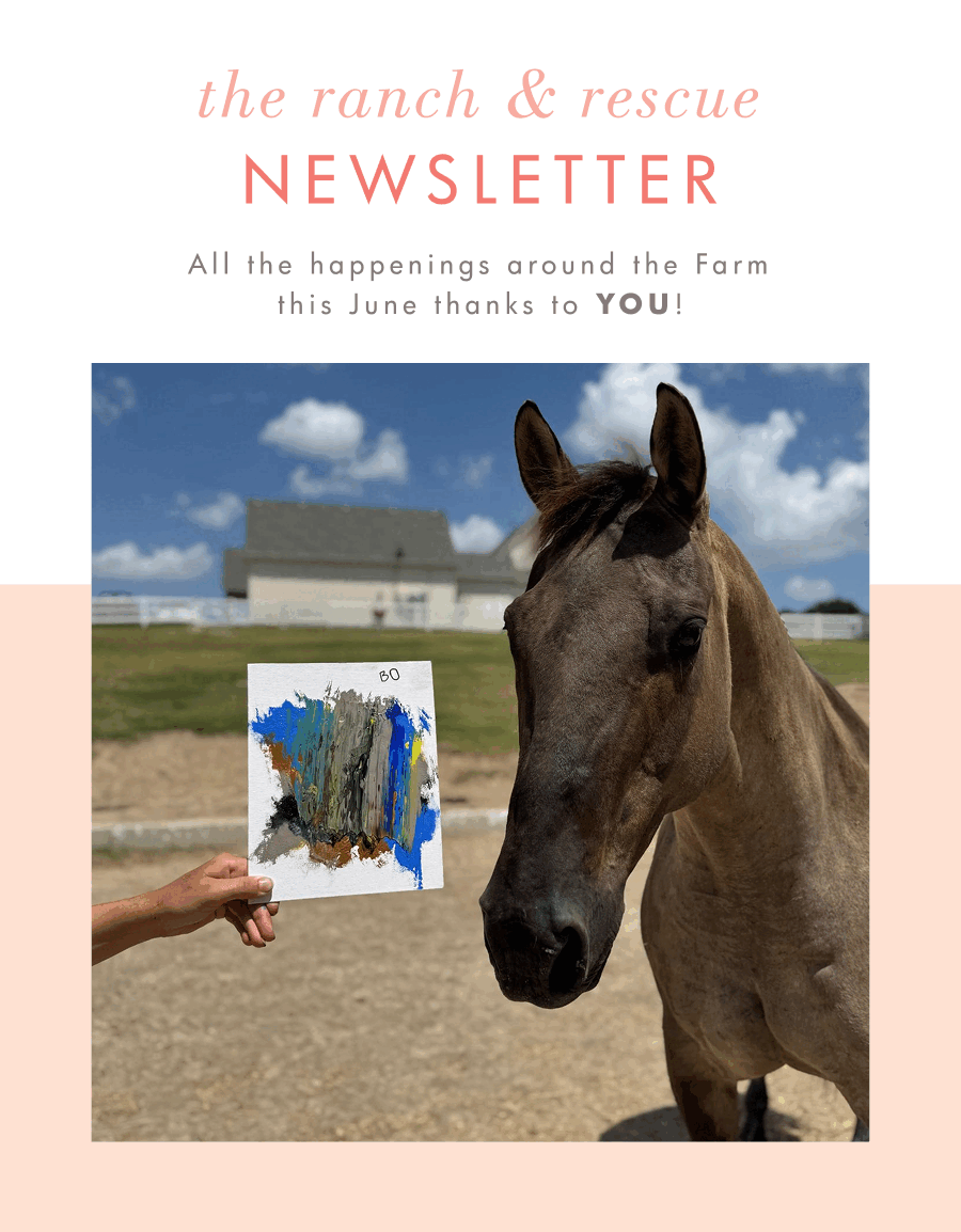 The ranch & rescue newsletter