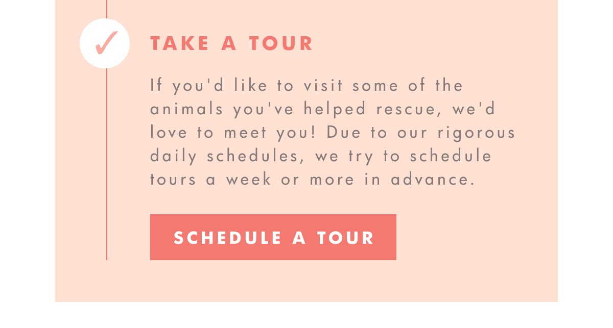 Take a tour