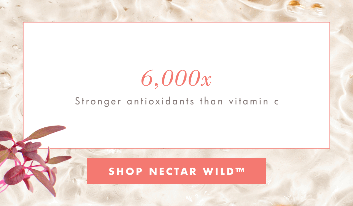 Shop Nectar Wild 