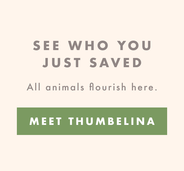 See Who You Just Saved