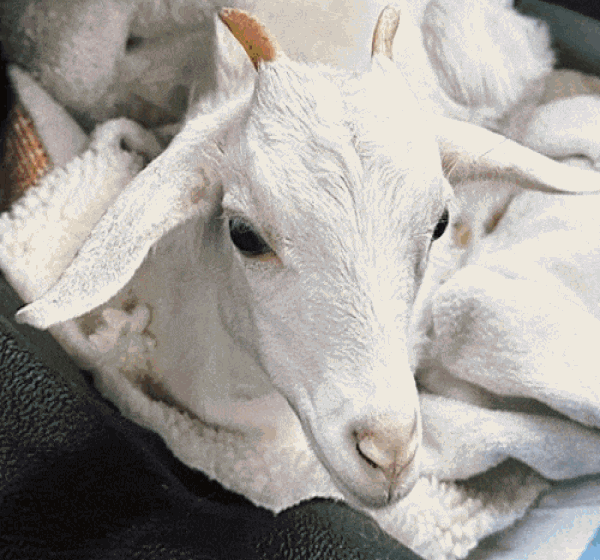 See Who You Just Saved