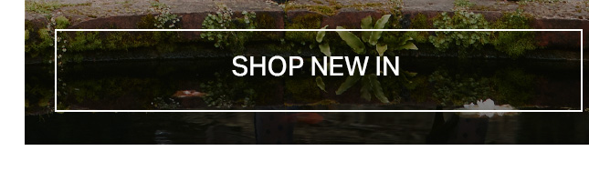 Dark water reflecting green moss and ferns on ancient stone walls. Shop our new arrivals and latest collection.