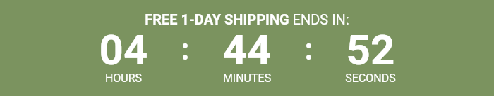 Countdown Timer
