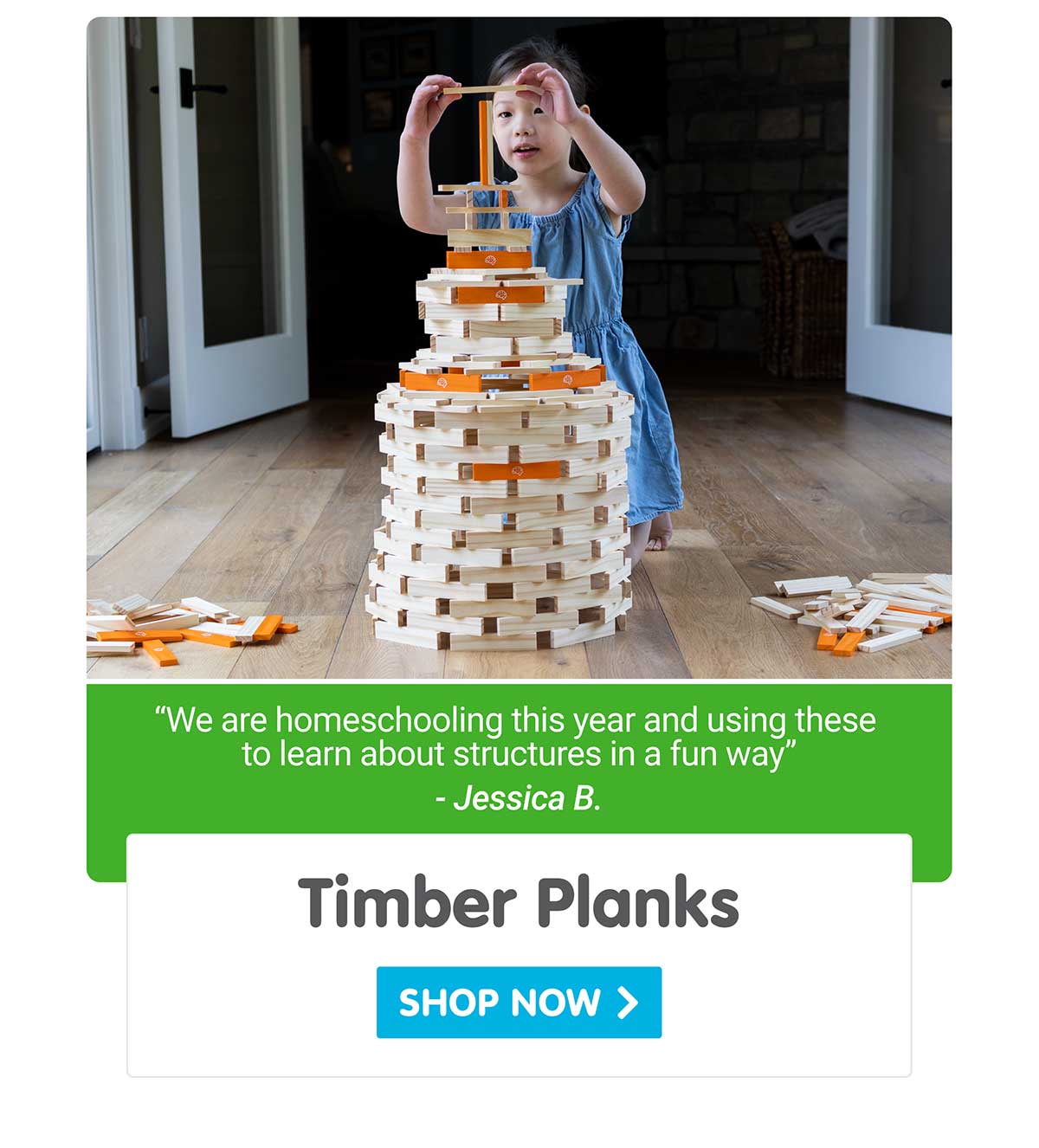 Timber Planks 300 Piece Set