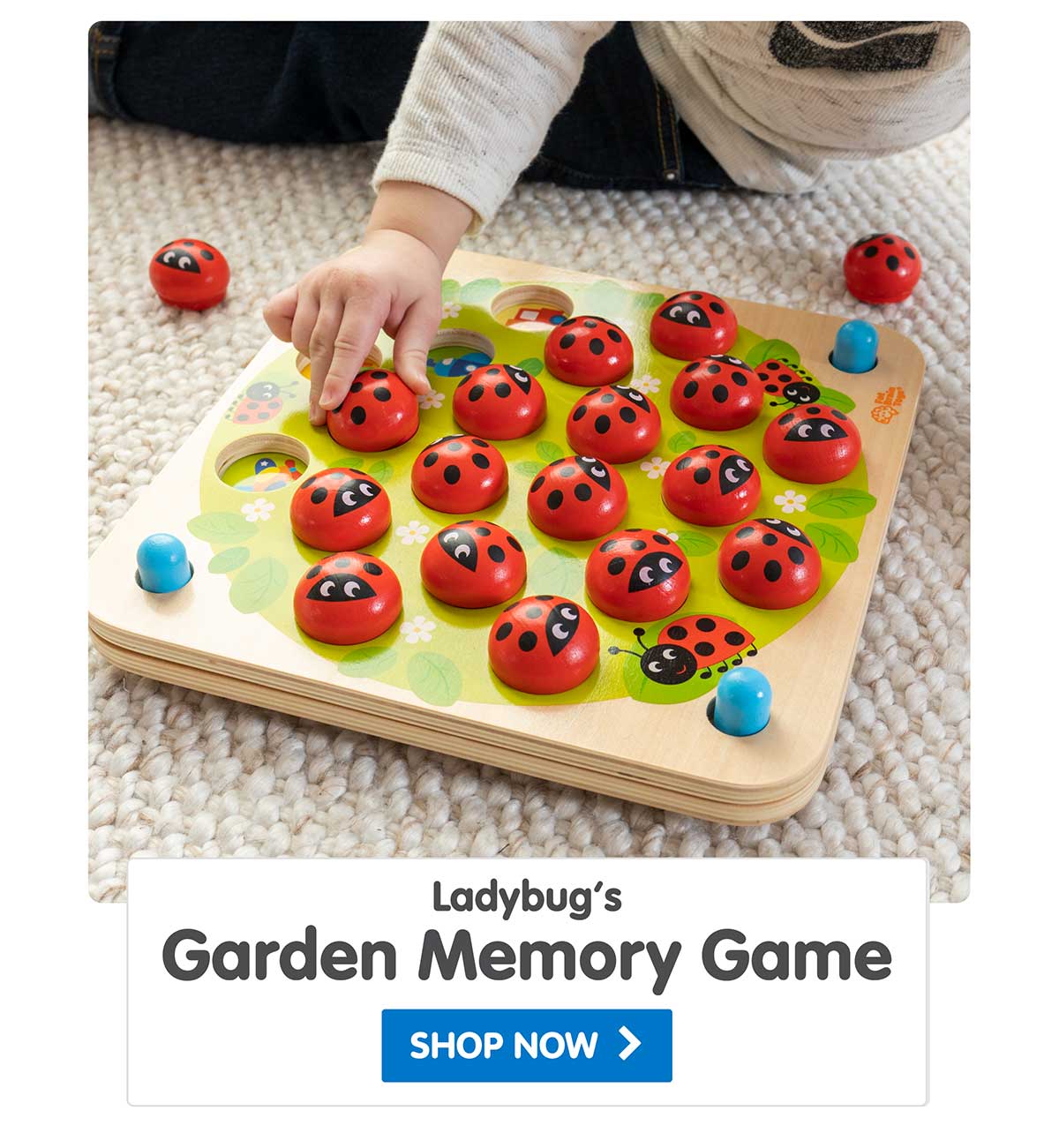 Ladybug's Garden Memory Game