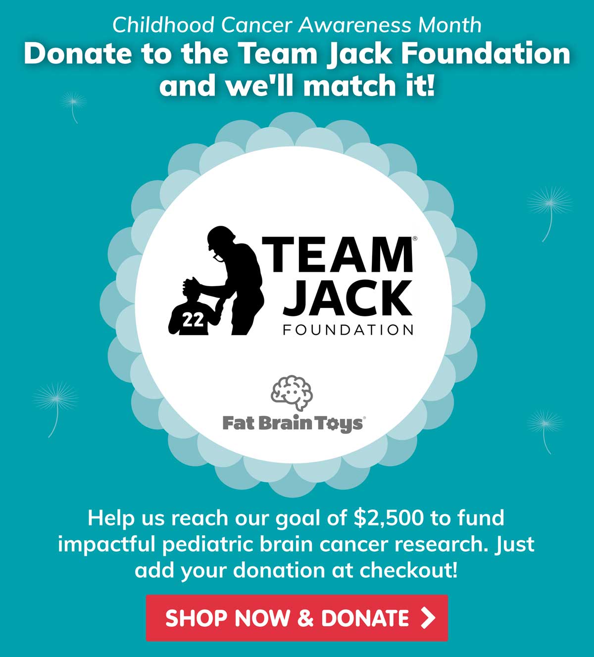 Childhood Cancer Awareness Month! Donate to the Team Jack Foundation and we'll match it! Help us donate $2,500 to fund impactful pediatric brain cancer research! - Shop Now & Donate