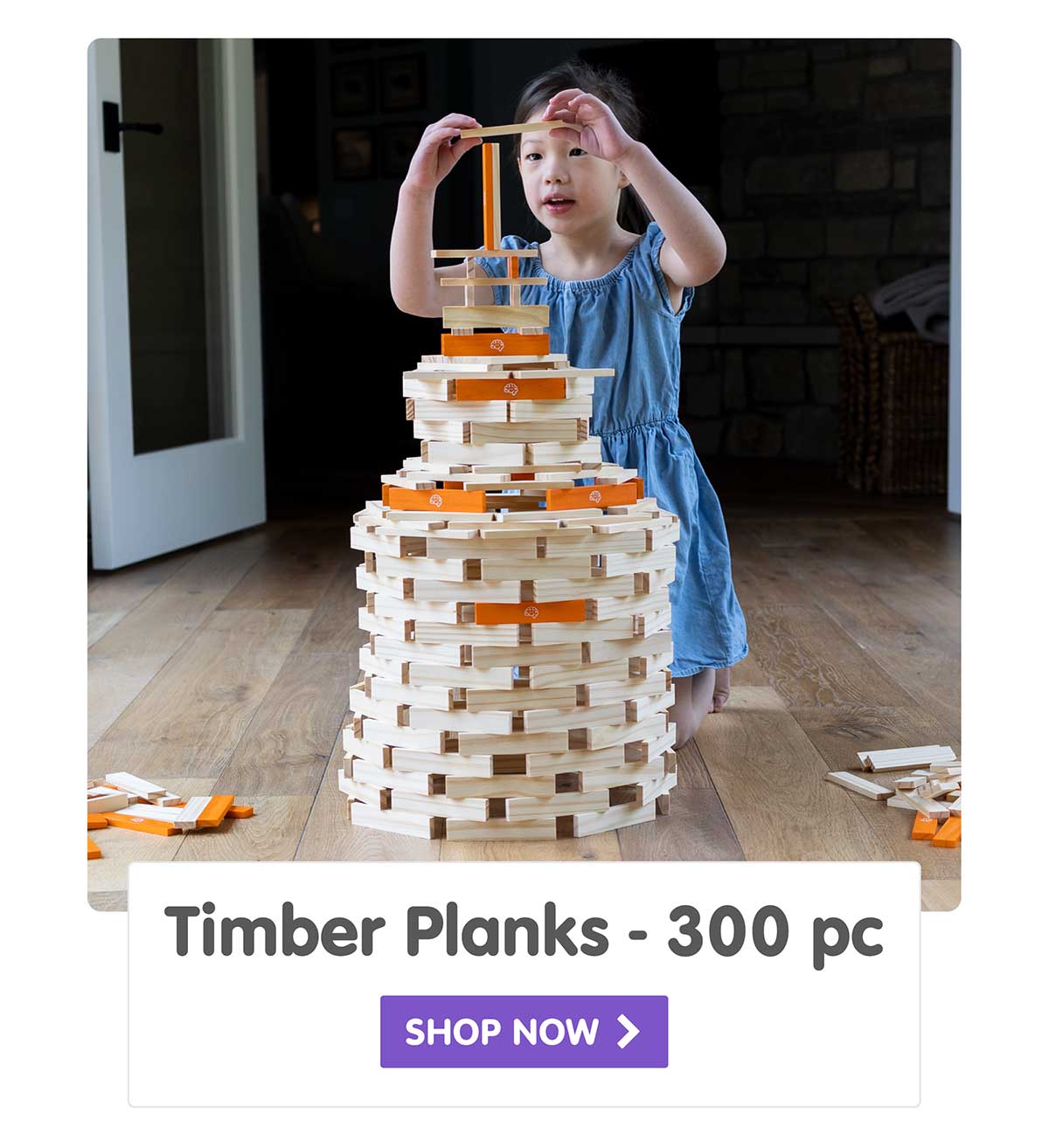 Timber Planks 300 Piece Set - Shop Now