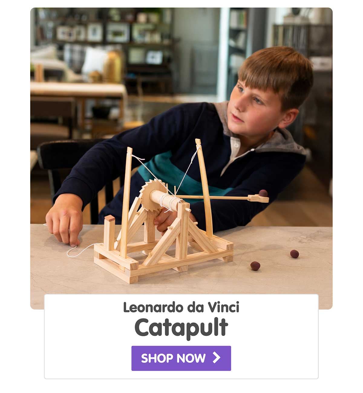 Leonardo da Vinci Catapult - Shop Now