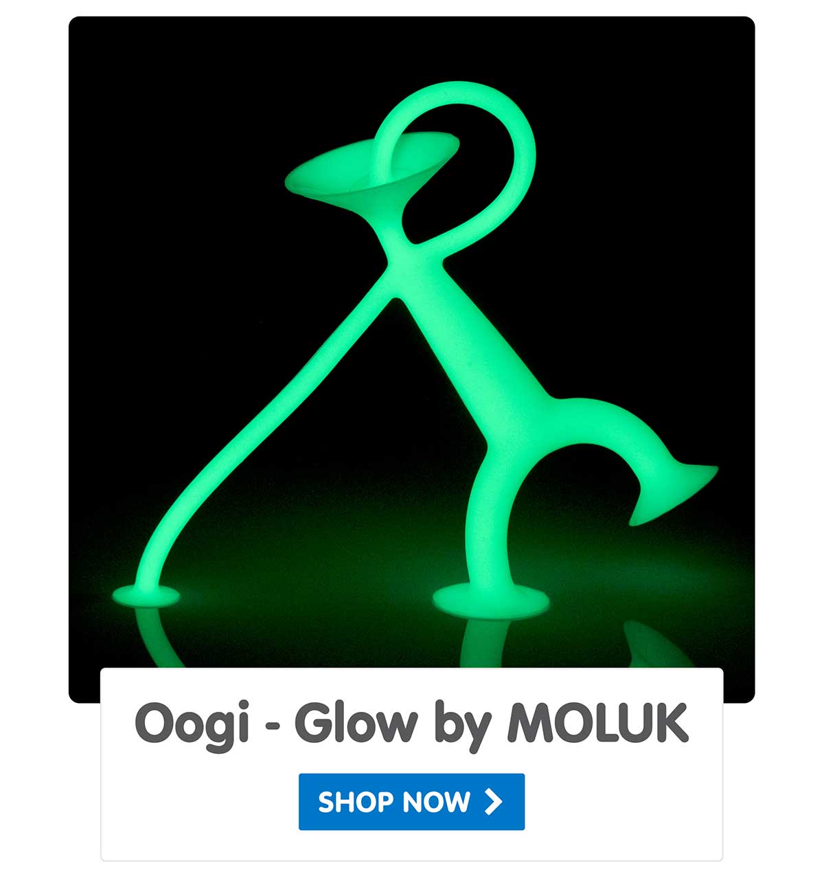 Oogi by MOLUK - Shop Now