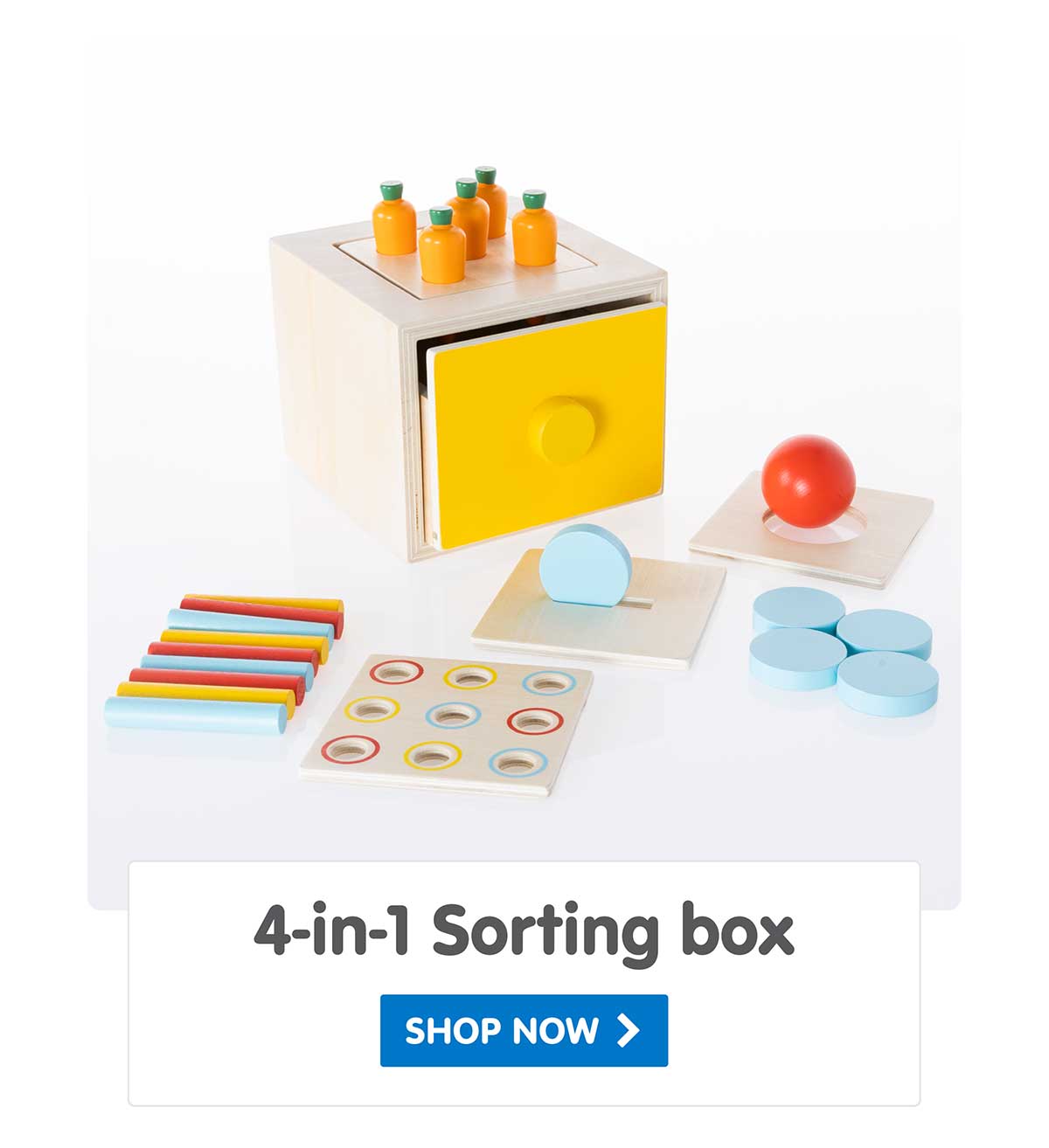 4-in-1 Sorting Box - Shop Now