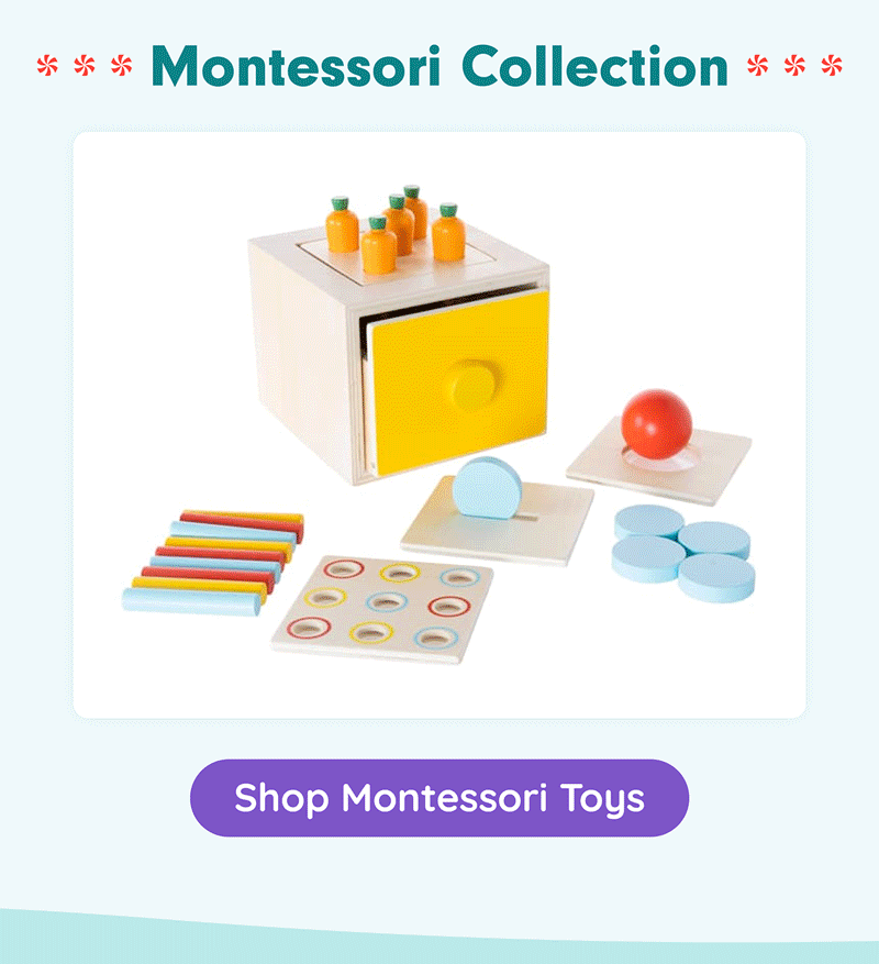 Montessori Collection! 4-in-1 Sorting Box! Matching Rings! Match & Count Peg Boards! - Shop Montessori Toys!