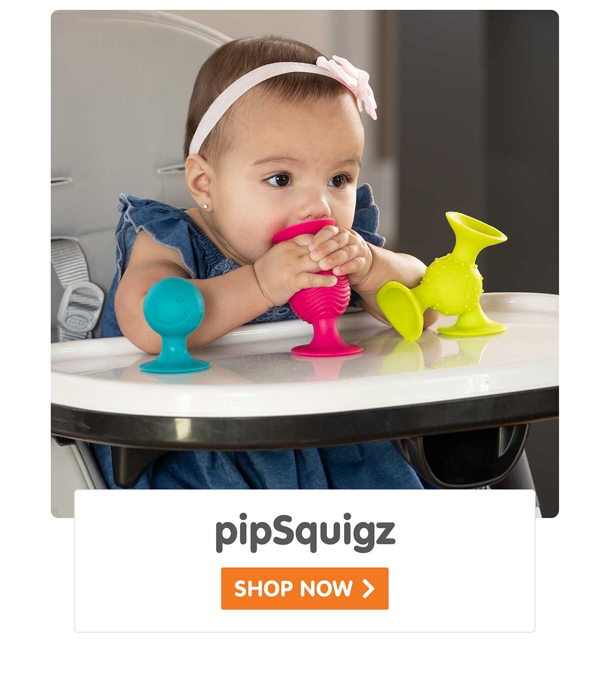 pipSquigz - Shop Now