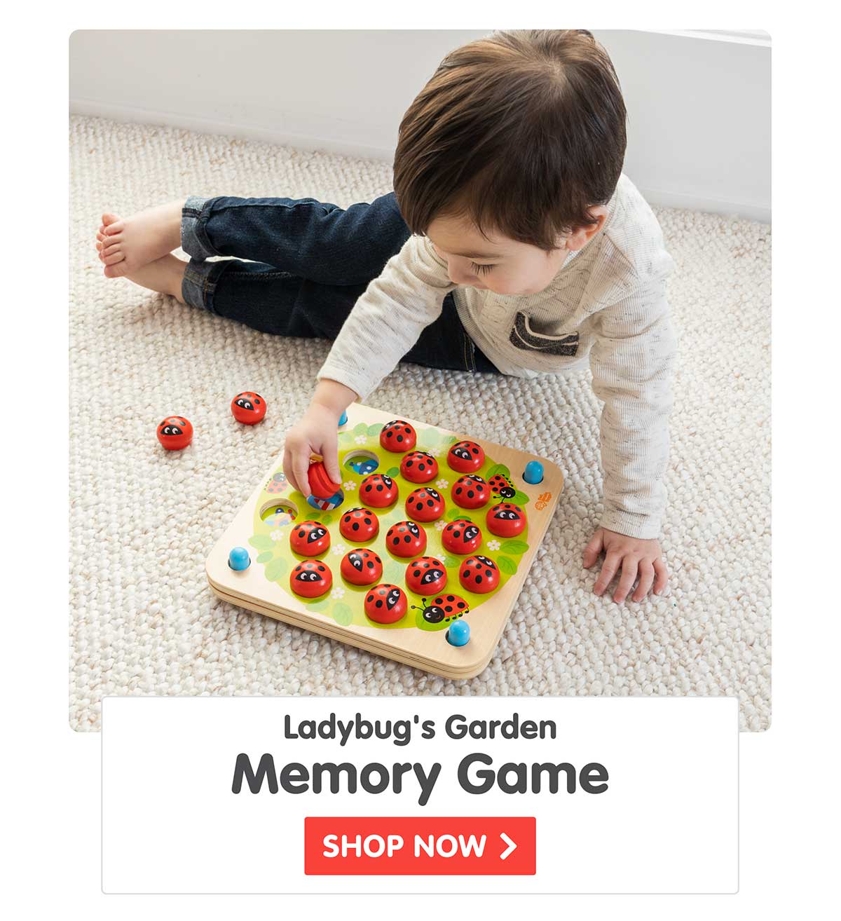 Ladybug's Garden Memory Game - Shop Now