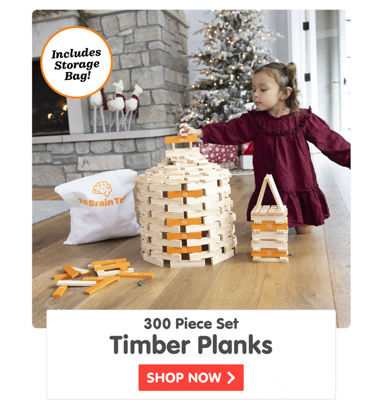 Timber Planks 300 Piece Set - Shop Now
