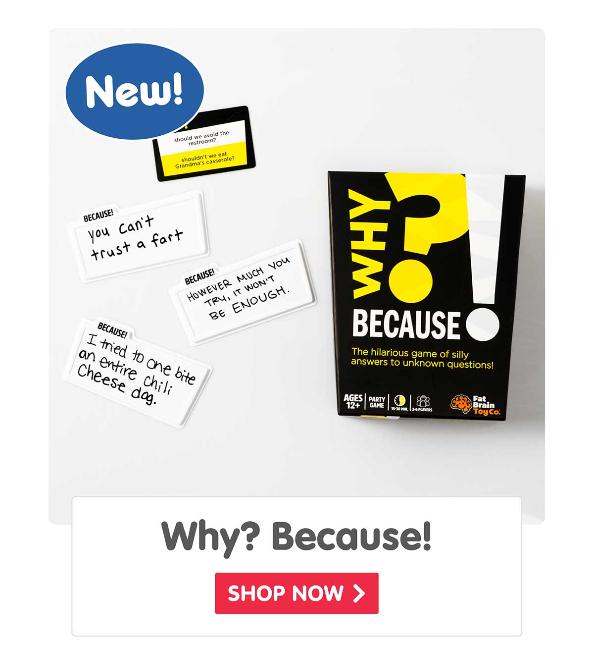 New! Why? Because! - Shop Now