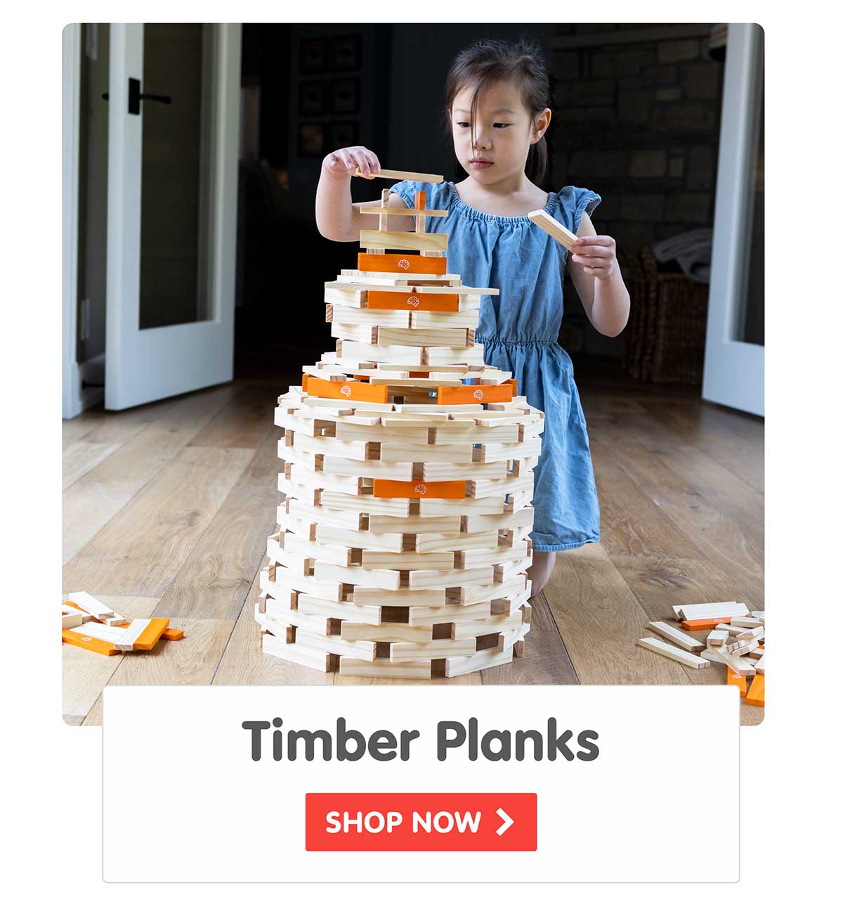 Timber Planks 300 Piece Set - Shop Now