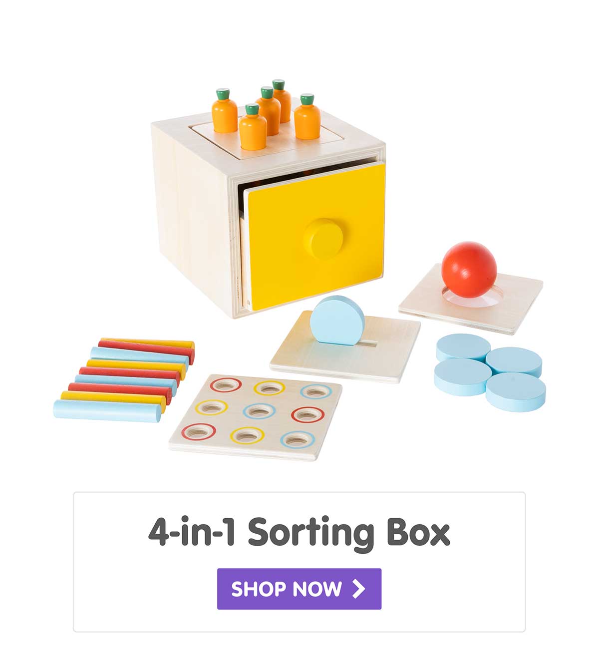 4-in-1 Sorting Box - Shop Now