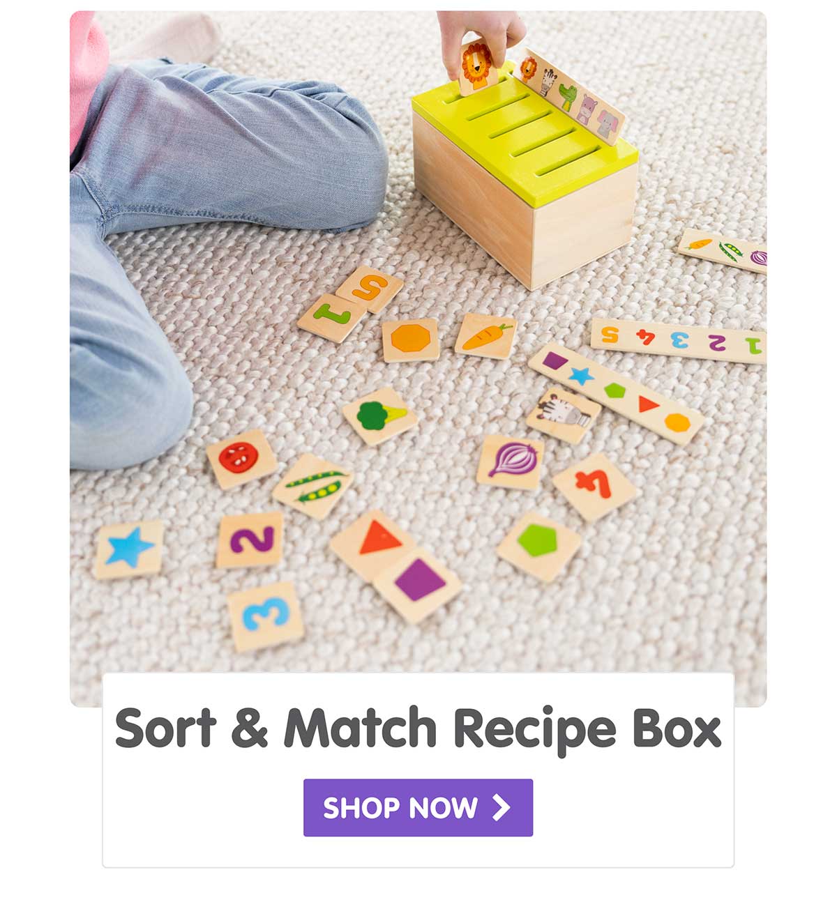 Sort & Match Recipe Box - Shop Now