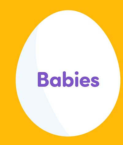 Top Toys for Babies