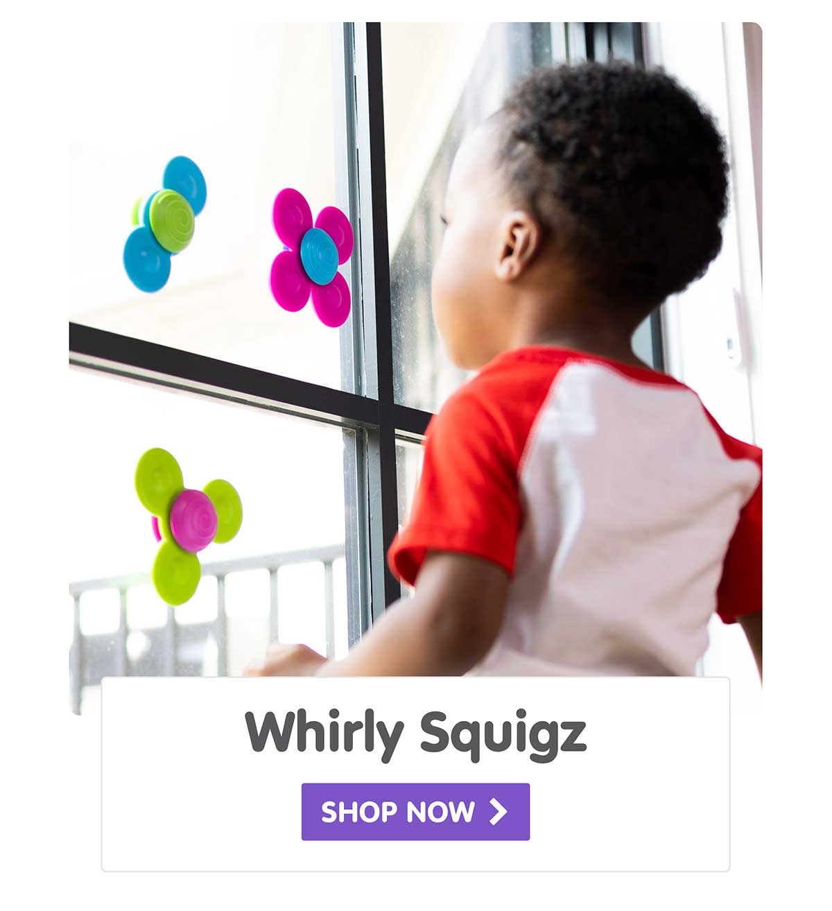 Whirly Squigz - Shop Now
