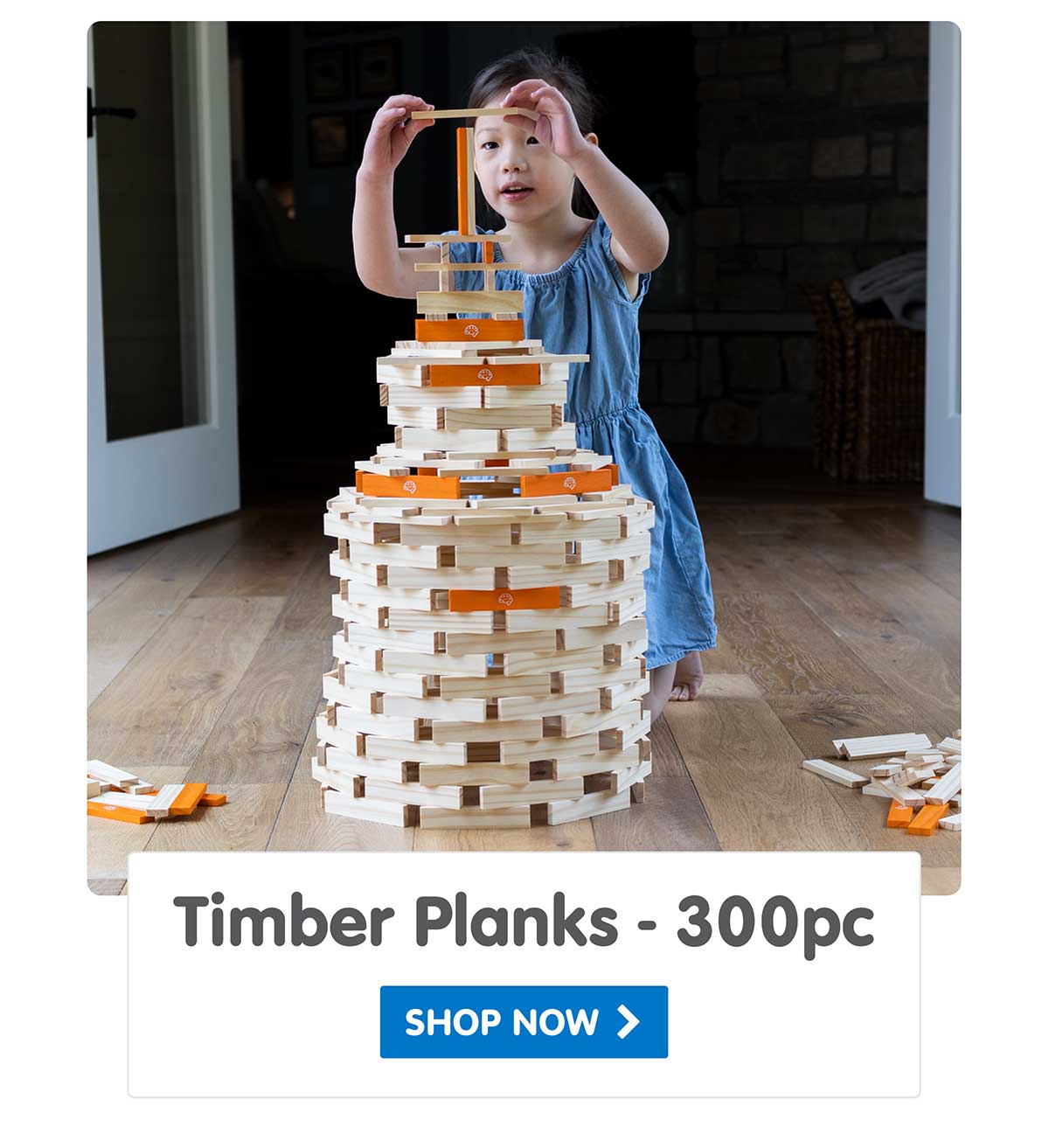 Timber Planks 300 Piece Set - Shop Now