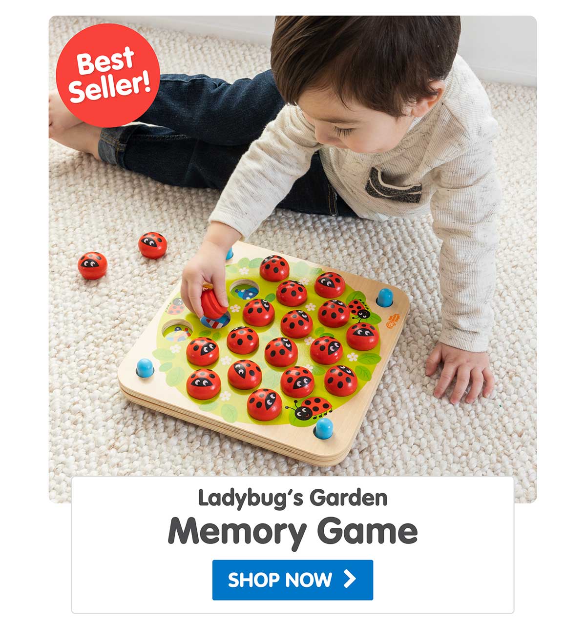 Ladybug's Garden Memory Game - Best Seller! - Shop Now