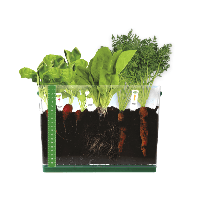 6th Birthday - Grow & See Vegetable Garden