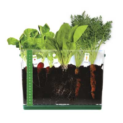 Grow & See Vegetable Garden