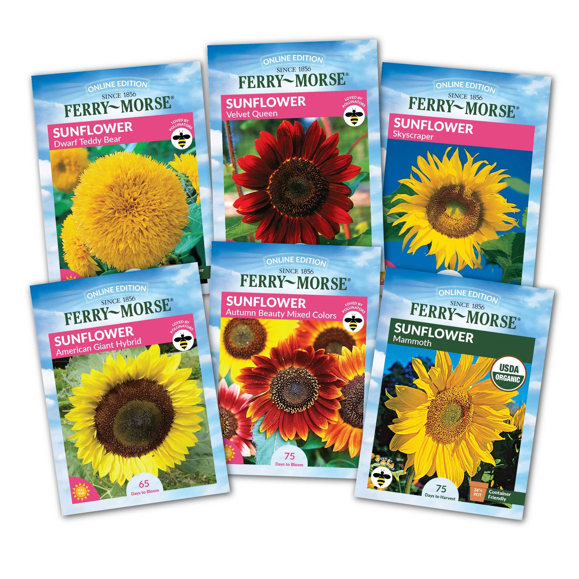 Image of Grow the Sunshine Sunflower Seed Variety Pack - 6 Pack