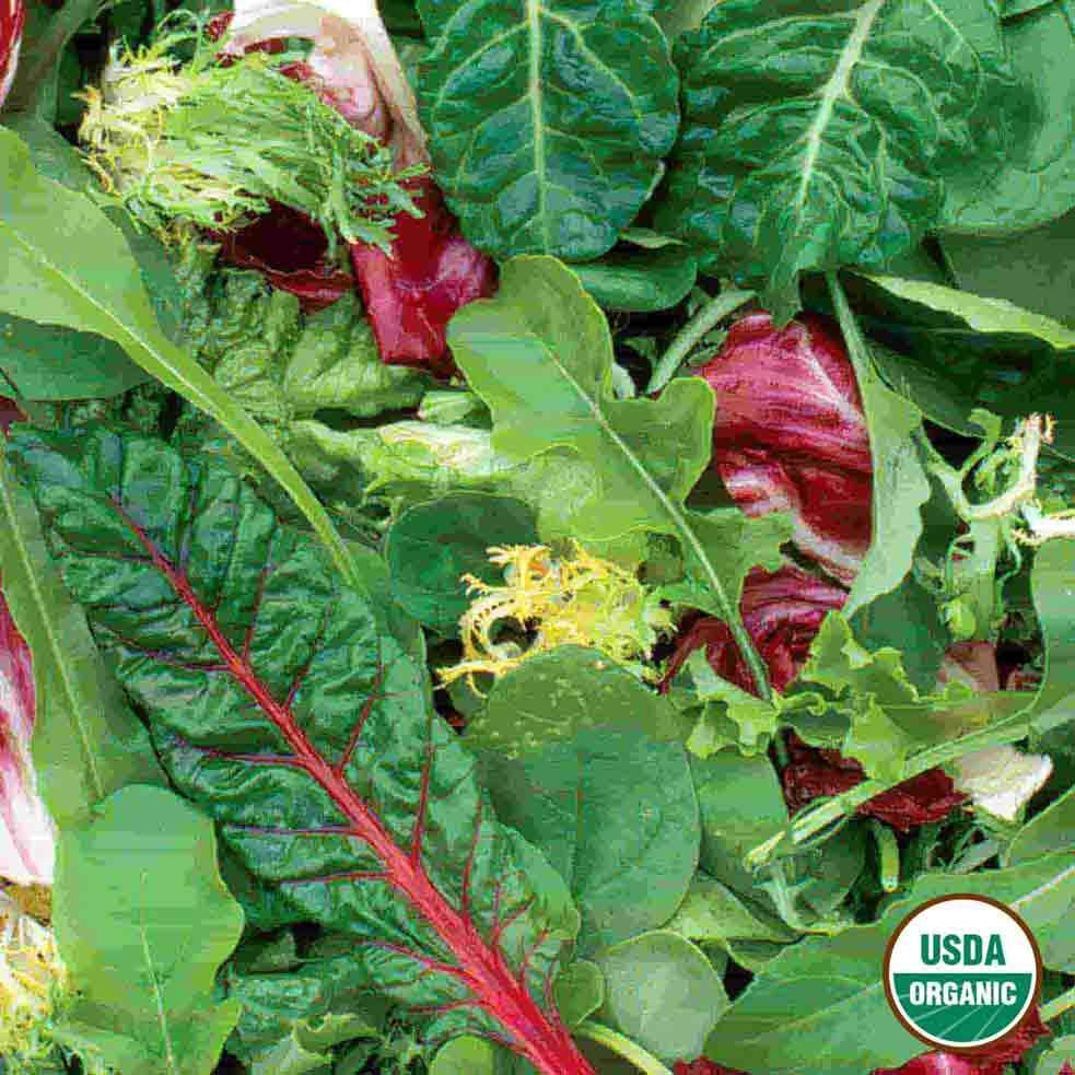 Image of Mesclun, Gourmet Greens Mixture Organic Seeds Online Edition