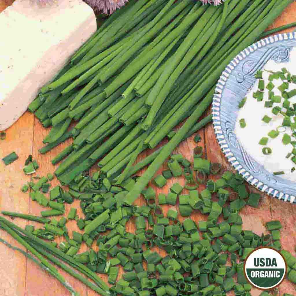 Image of Chives, Organic Seeds Online Edition