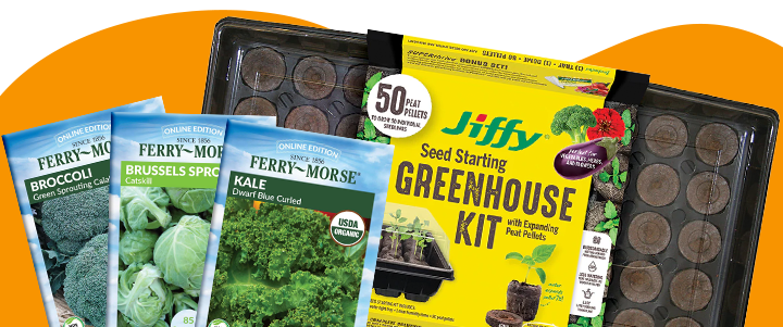 three seed packets cantaloupe artichoke basil