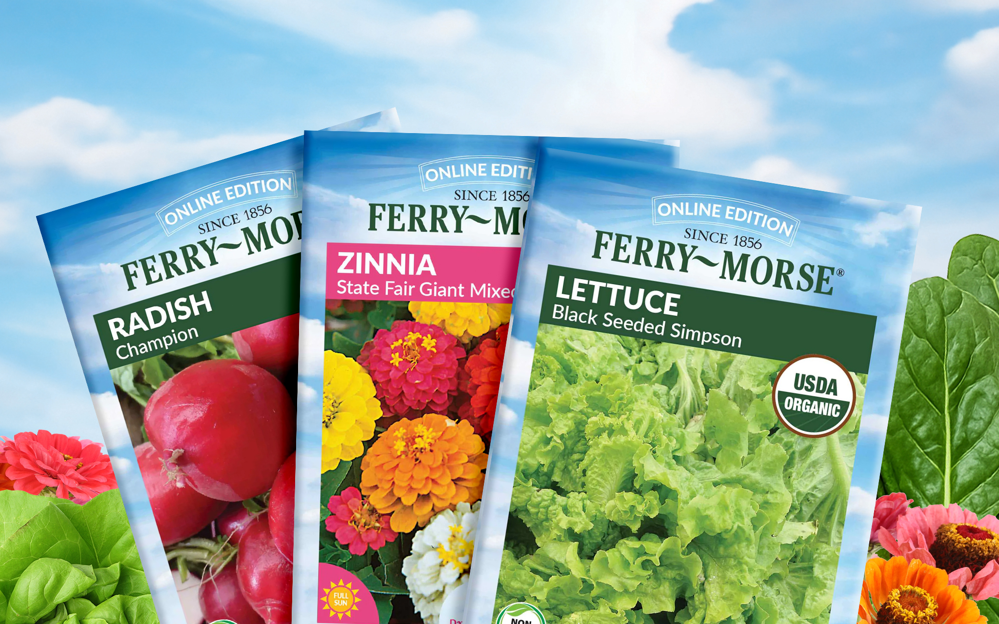 three seed packets cantaloupe artichoke basil
