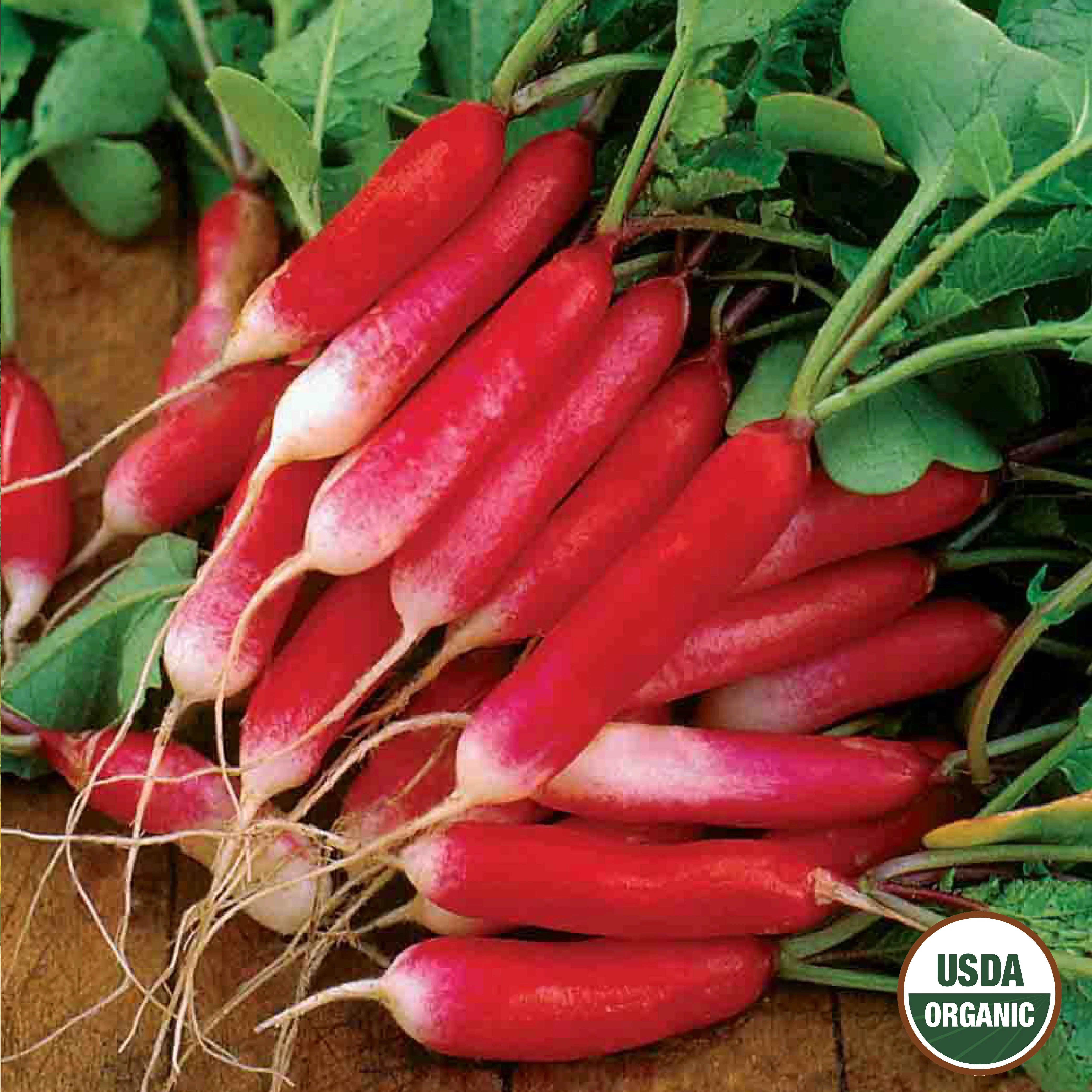 Image of Radish, French Breakfast Organic Seeds, 2.6g