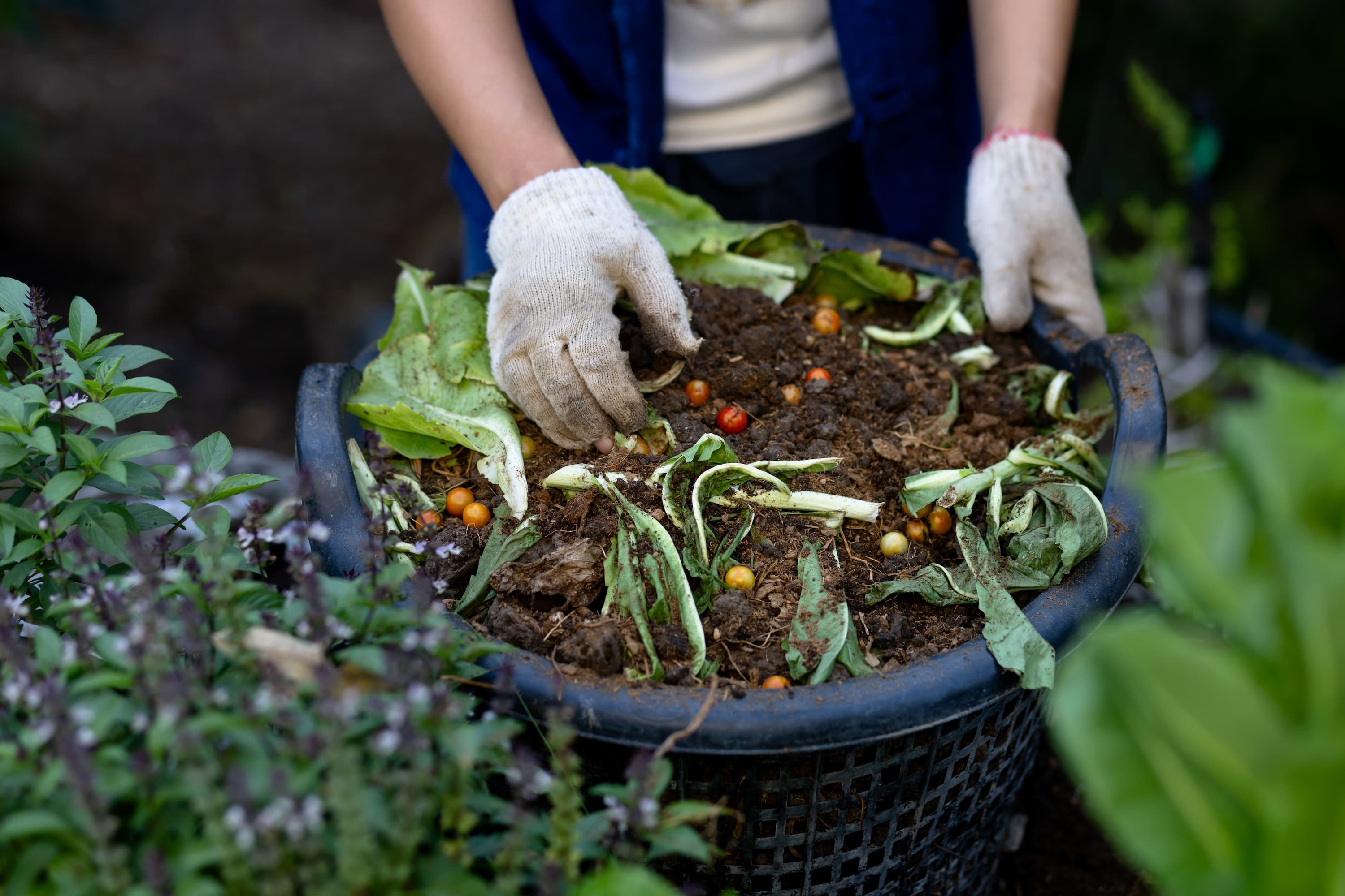 soil compost garden