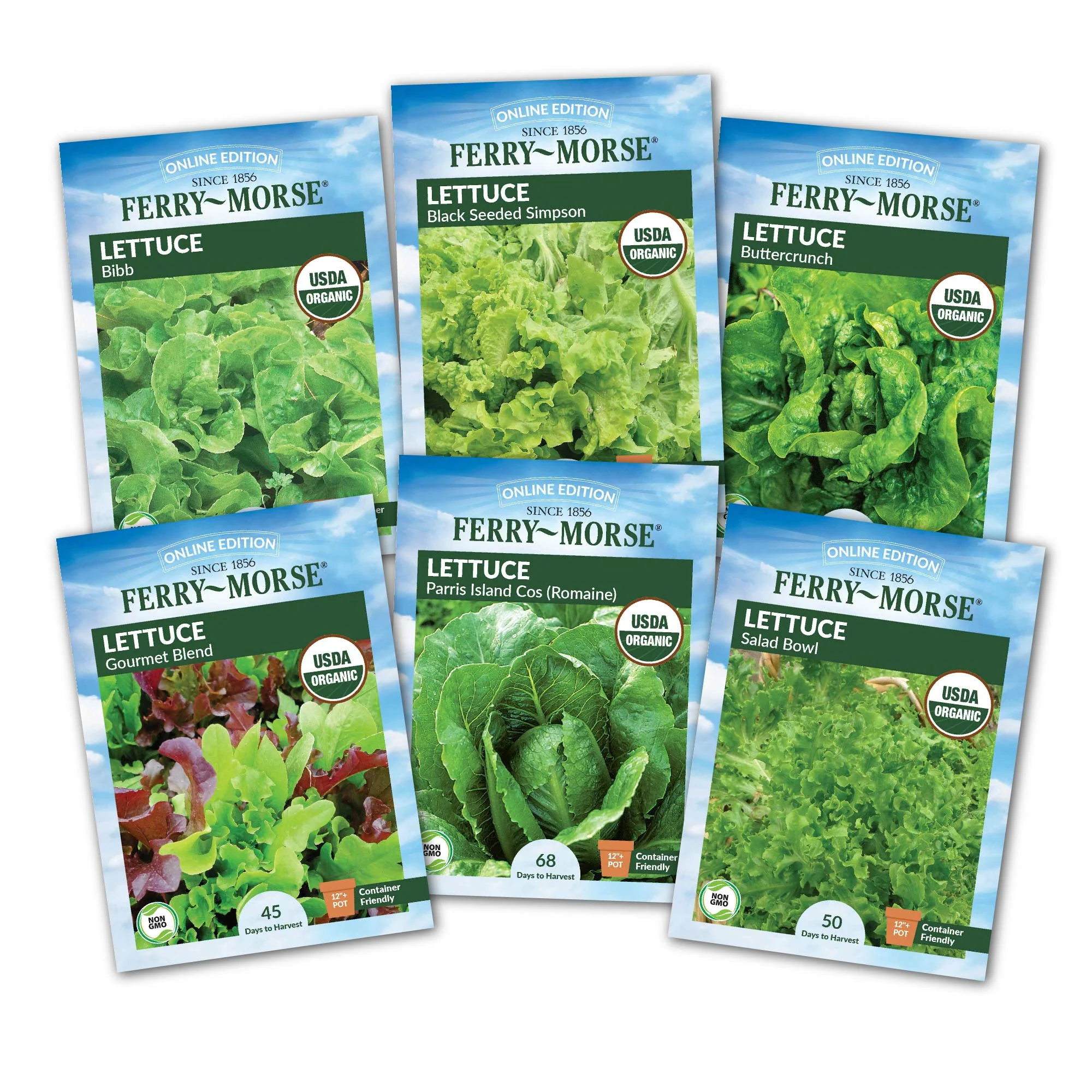 Image of Cold Hardy Organic Lettuce Seed Variety Pack - 6 Pack