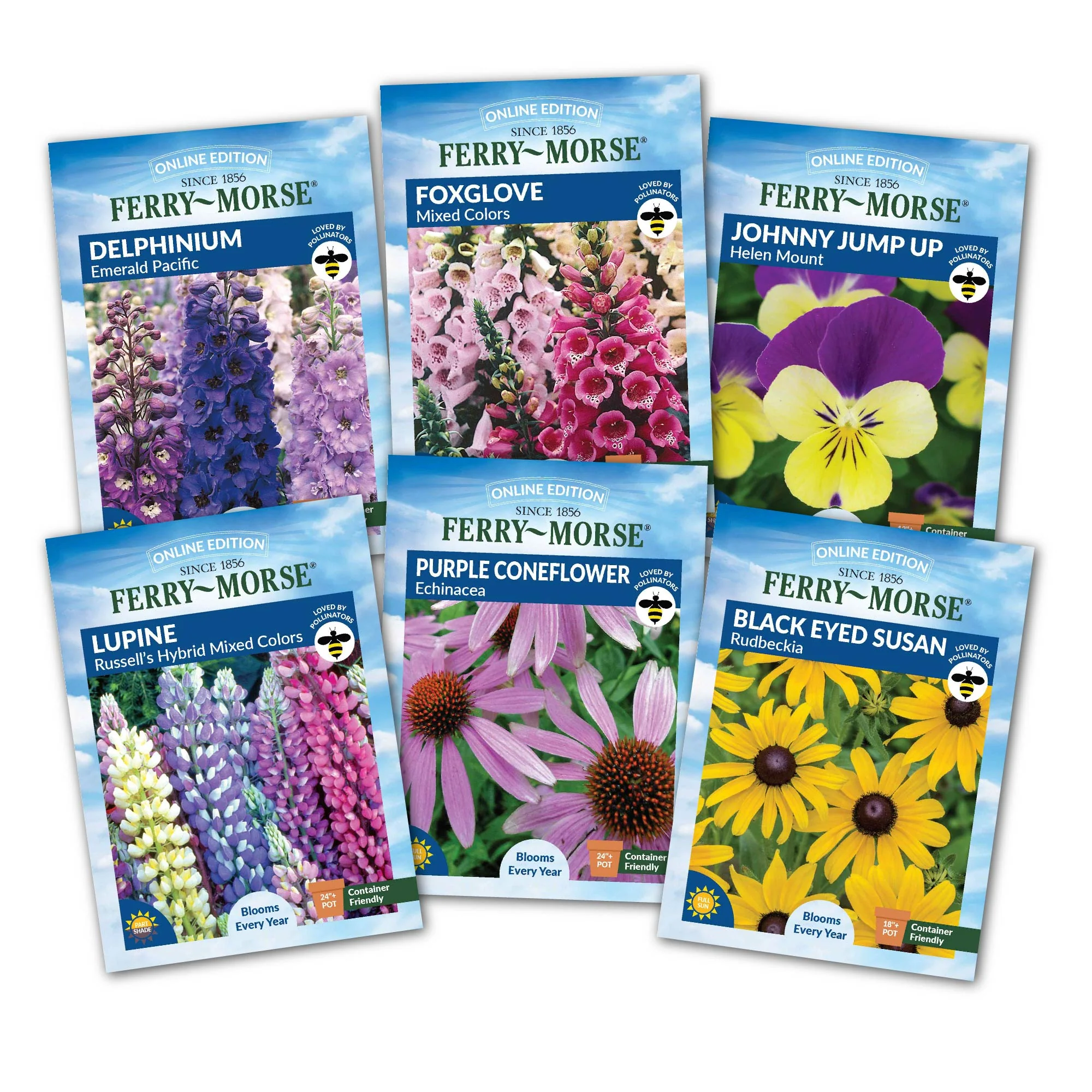 Image of Perennials to Plant in Fall Seed Variety Pack - 6 Pack