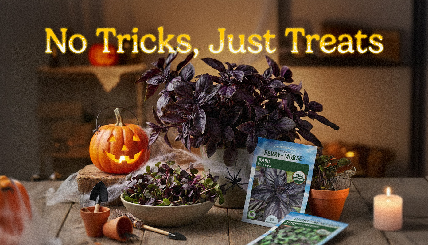 Autumn table with seed packets, herbs, and wildflowers; text overlay “30% Off This Weekend Only.”