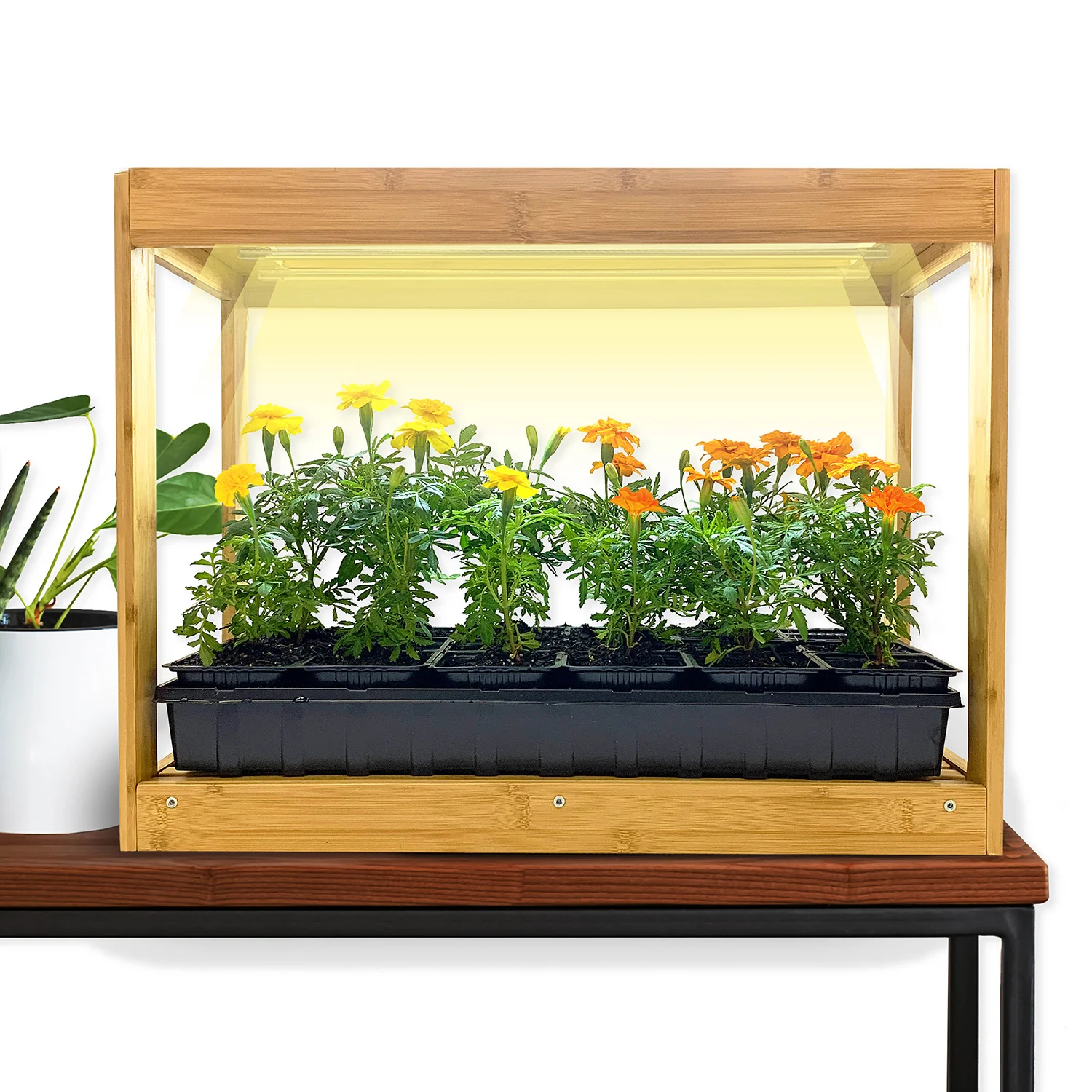 Image of Ferry-Morse Modern Indoor Bamboo LED Growhouse
