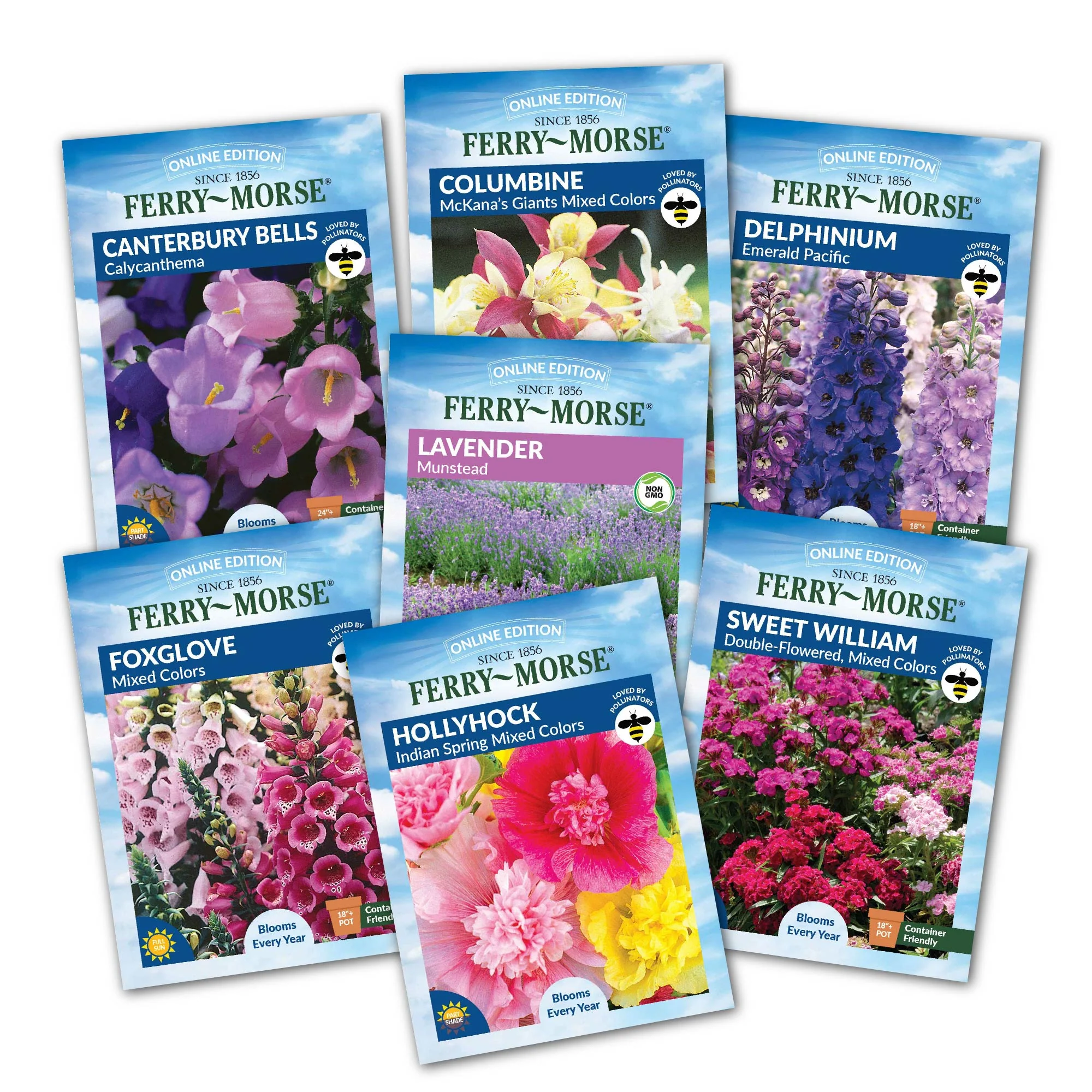 Image of English Cottage Perennial Garden - 7 Pack