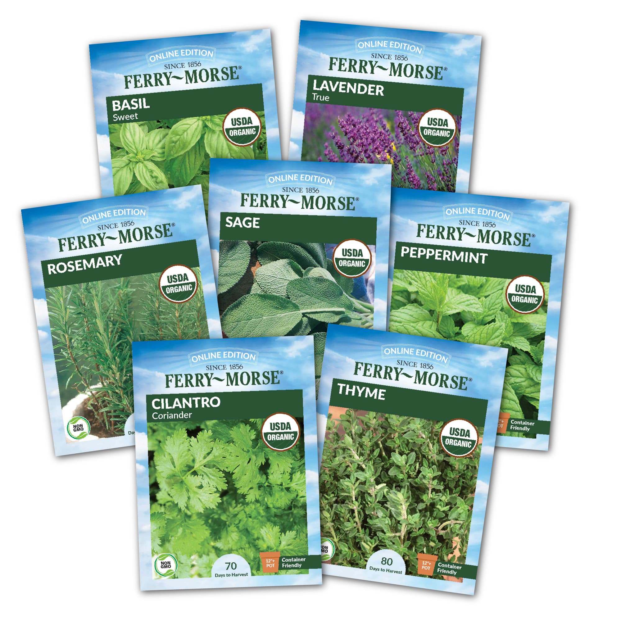 Image of Aromatherapy Herb Seed Variety Pack - 7 Pack