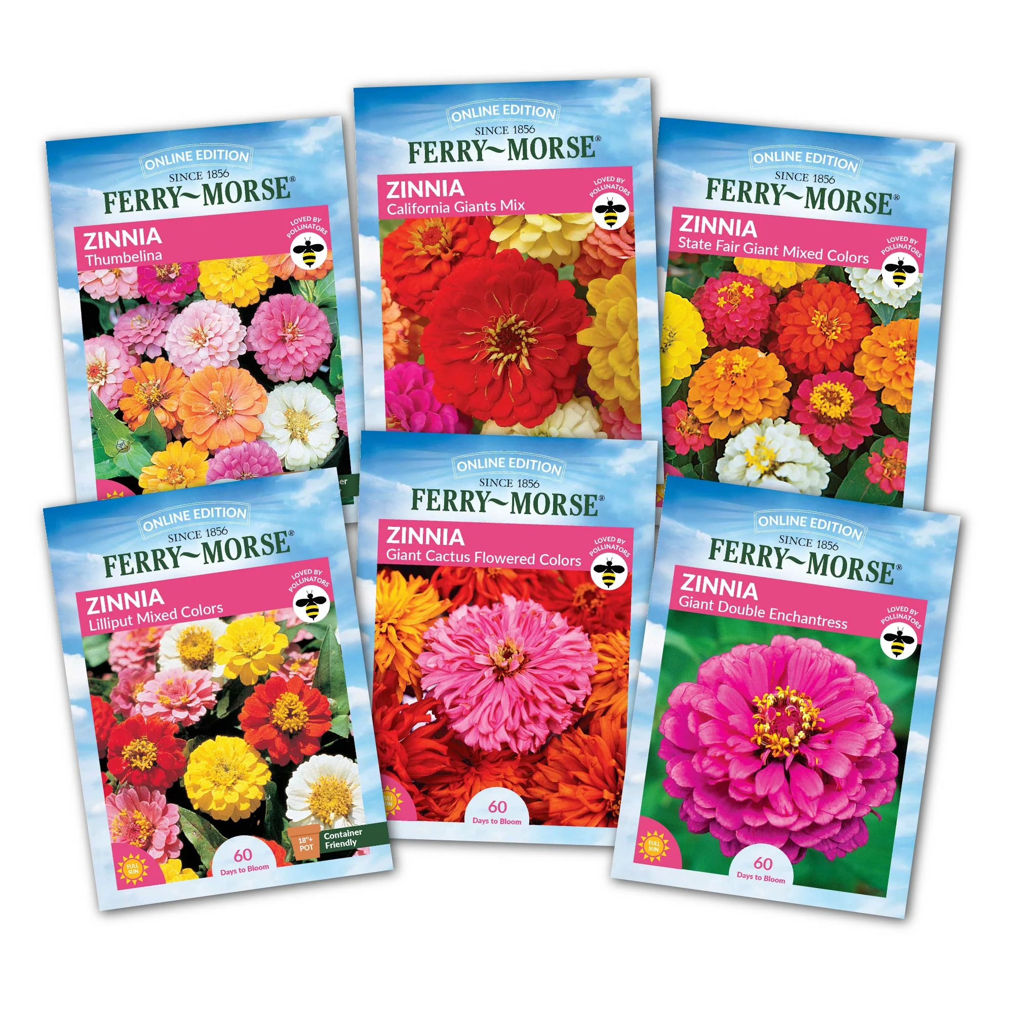 Image of Zinnia Flowers Top Sellers Seed Variety Pack - 6 Pack