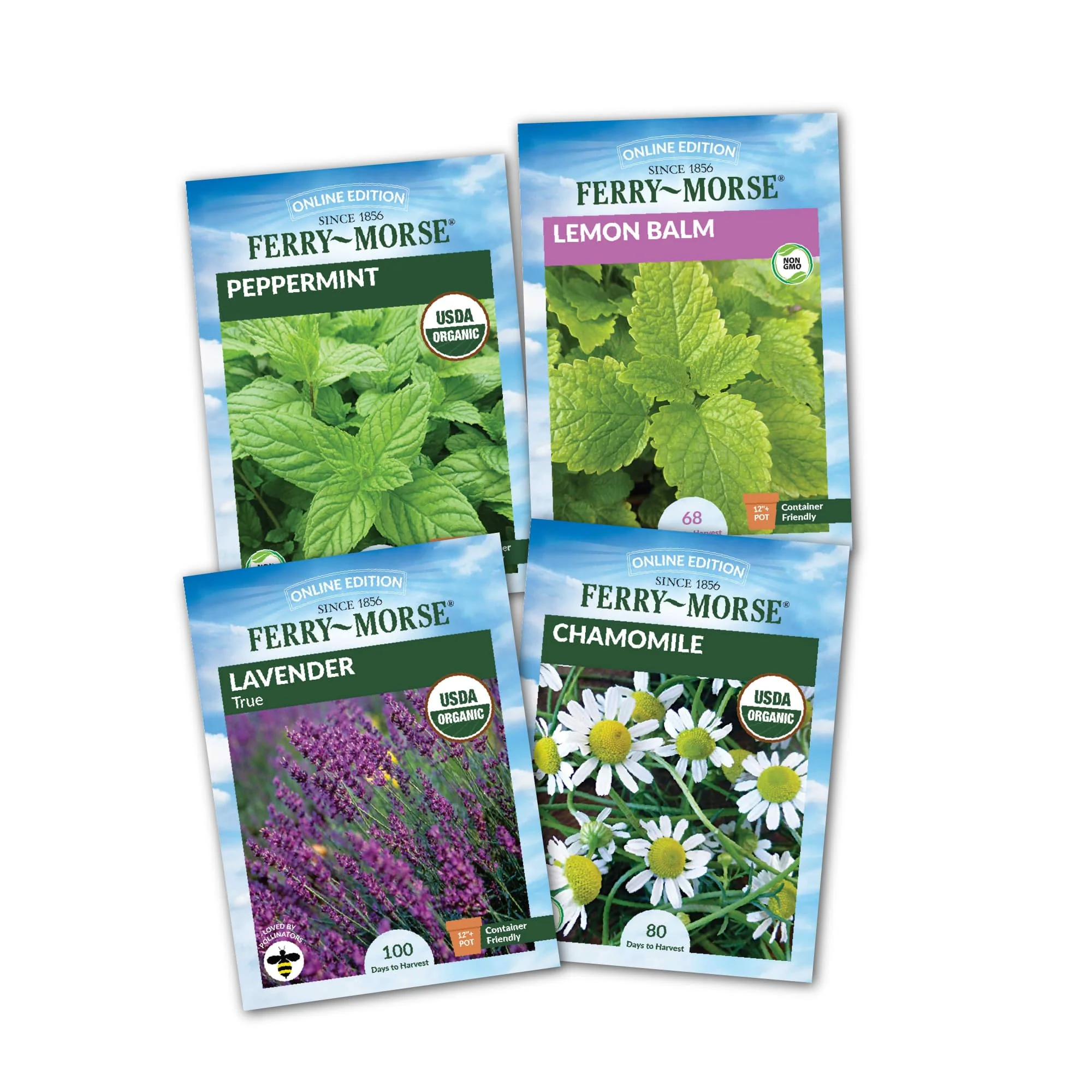 Image of Tea Herb Seed Variety Pack - 4 Pack
