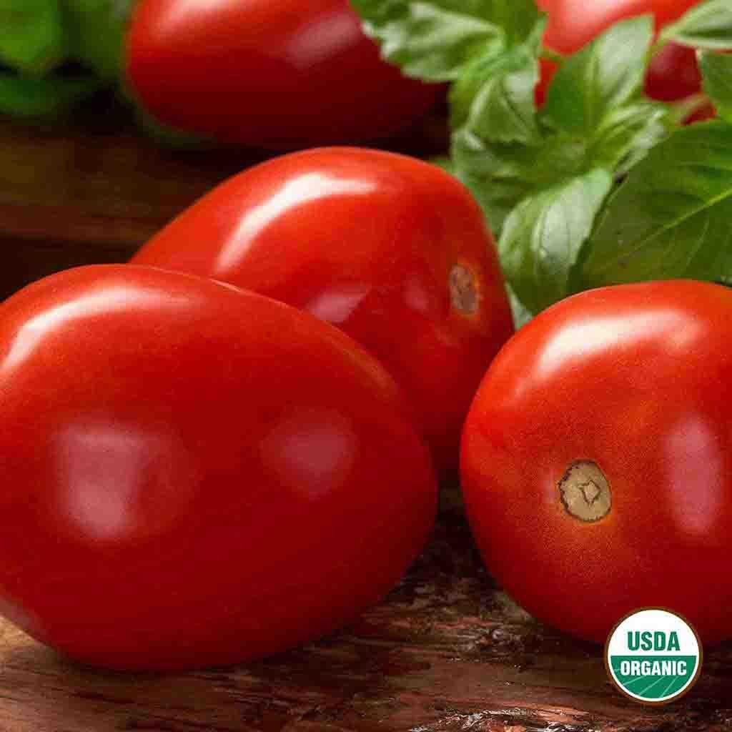 Image of Tomato, Roma Organic Seeds, 300mg