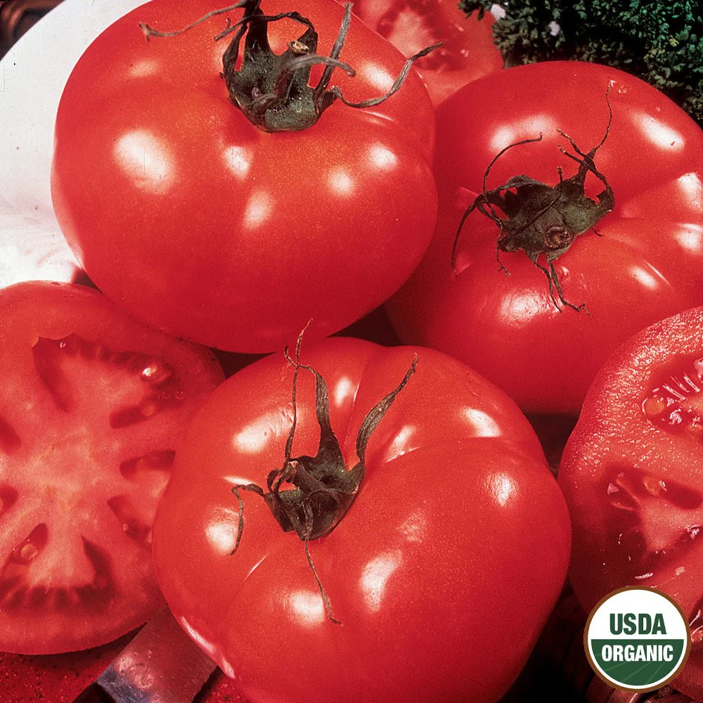 Image of Tomato, Delicious Organic Seeds, 300mg
